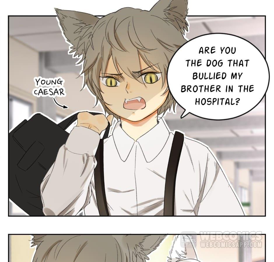 A World Ruled By Cats Manga A World Ruled By Cats - Ch. 58 - FREE WEBTOON ONLINE