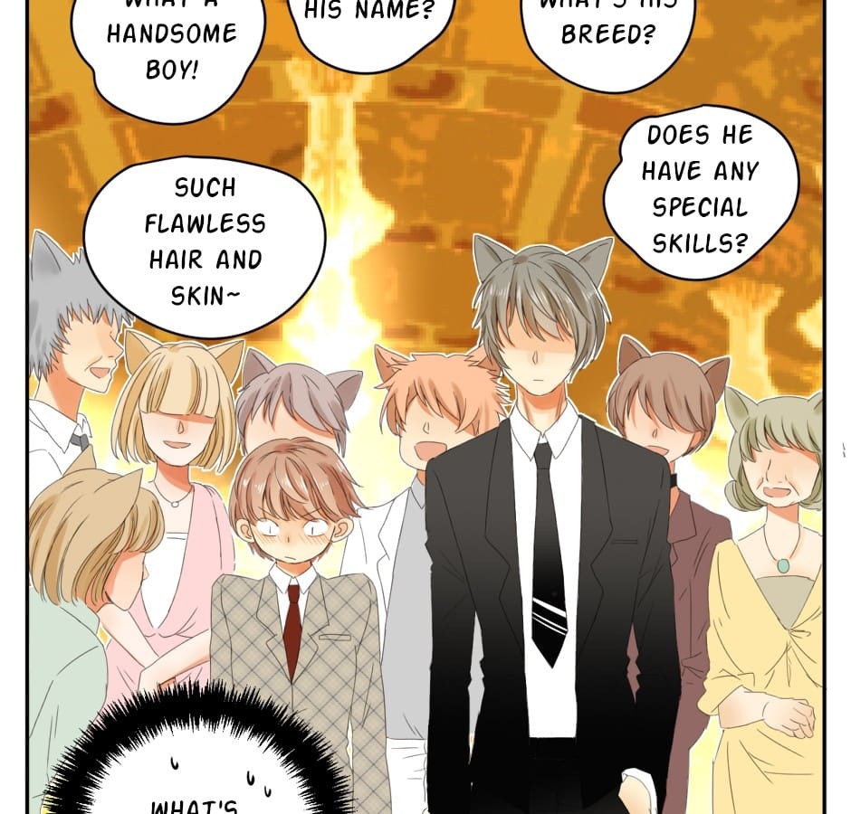 A World Ruled By Cats Manga A World Ruled By Cats - Ch. 40 - FREE WEBTOON ONLINE